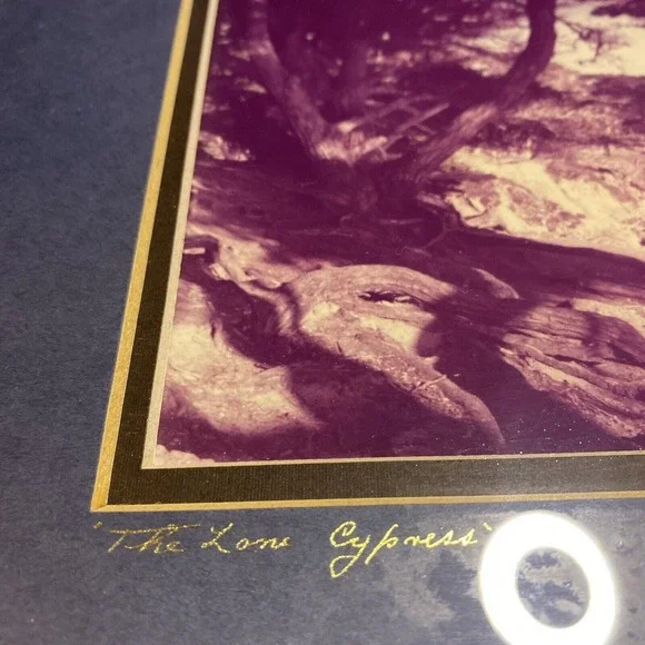 VTG RARE Gene Wright Carmel “The Lone Cypress” Photograph 1976 Signed 6x16 ORIG